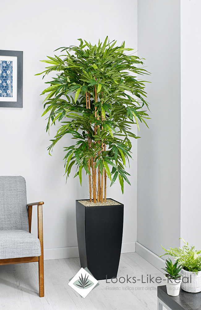 house plants floor standing Bamboo Floor Standing Plant– NWOF