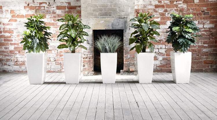 What benefits will our replica plants bring you and your customers?