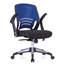 Graphite Medium Mesh Back Task Chair - NWOF