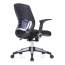 Graphite Medium Mesh Back Task Chair - NWOF