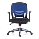 Graphite Medium Mesh Back Task Chair - NWOF