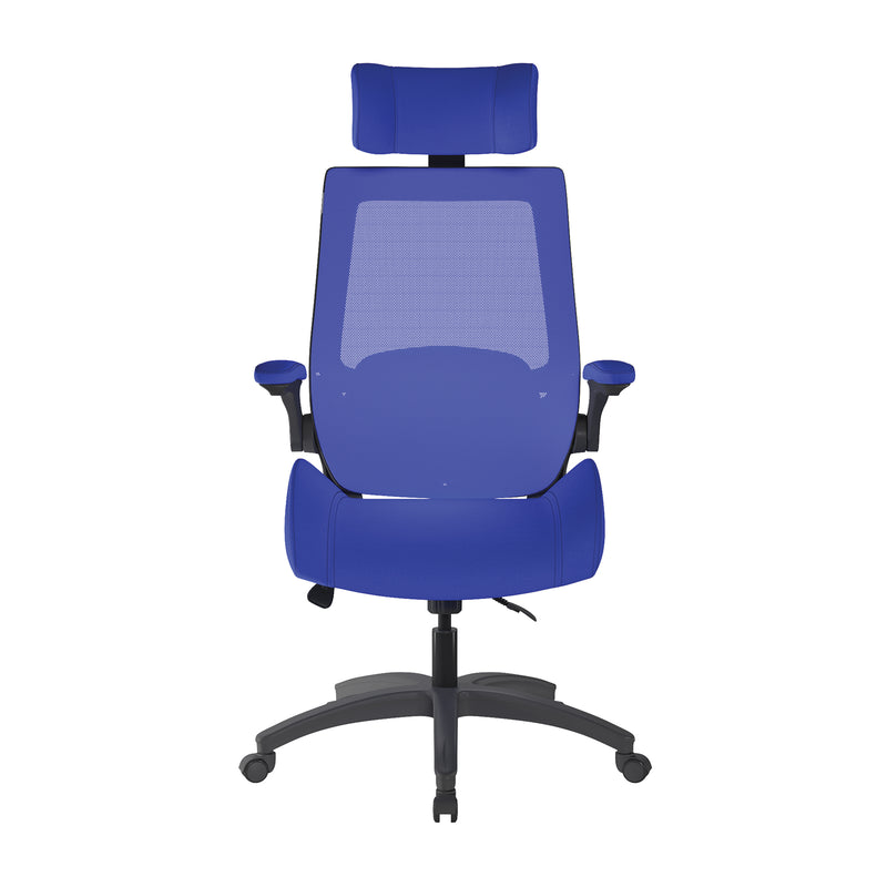 Resolute High Back Mesh Chair With High Weight Capacity