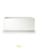Boston Fern & Savannah Grass Cabinet Trough - NWOF