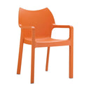 Diva Arm Chair - NWOF