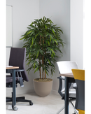 Bamboo Floor Standing Plant - Design Range - NWOF