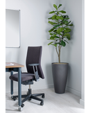 Fiddle Leaf Fig Floor Standing Plant - Design Range - NWOF