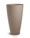 Calathea Orbifolia Floor Standing Plant - Design Range - NWOF