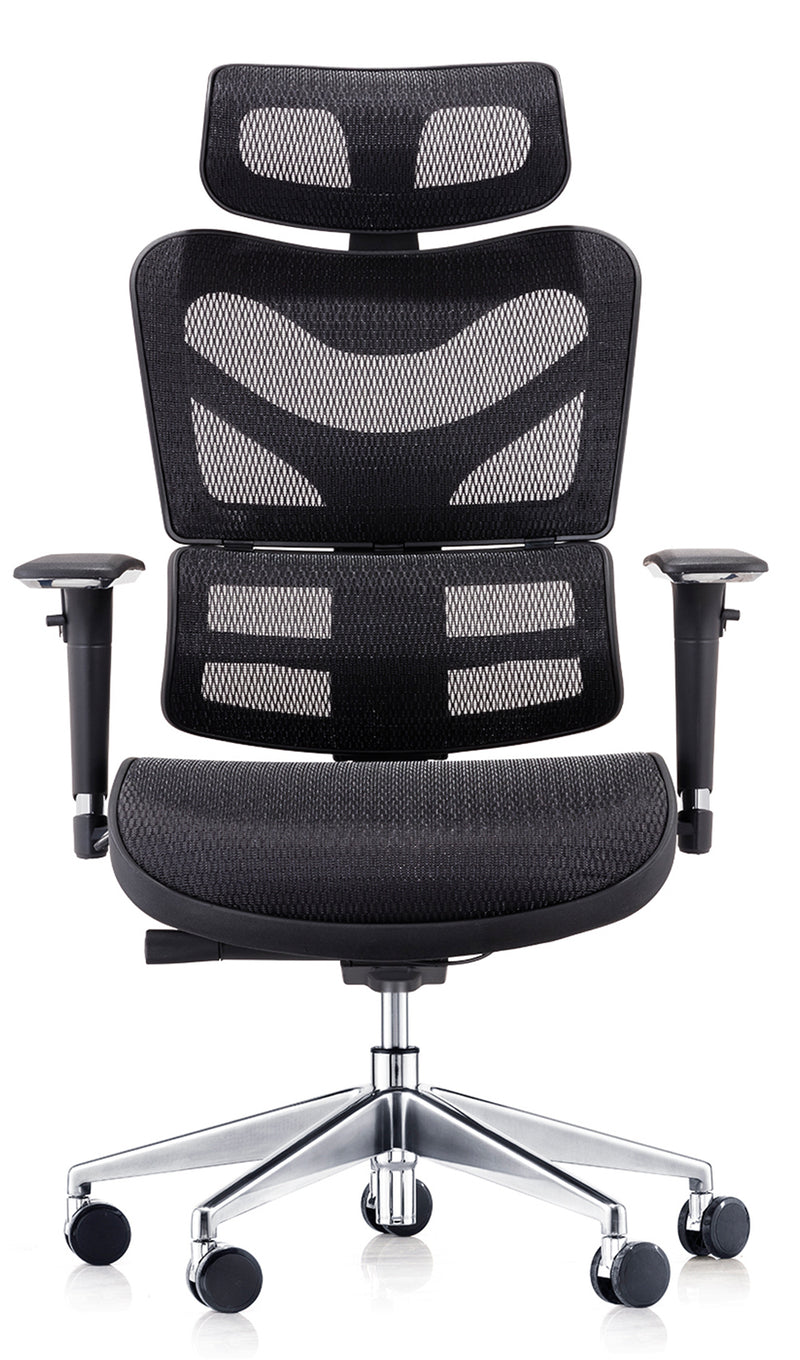 Dorsum Mesh Executive Office Chair - NWOF