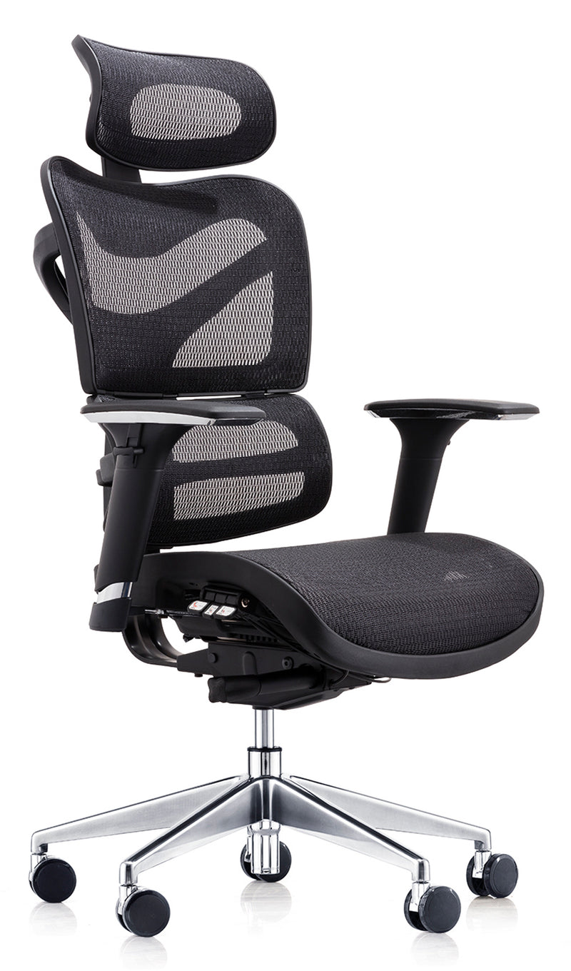 Dorsum Mesh Executive Office Chair - NWOF