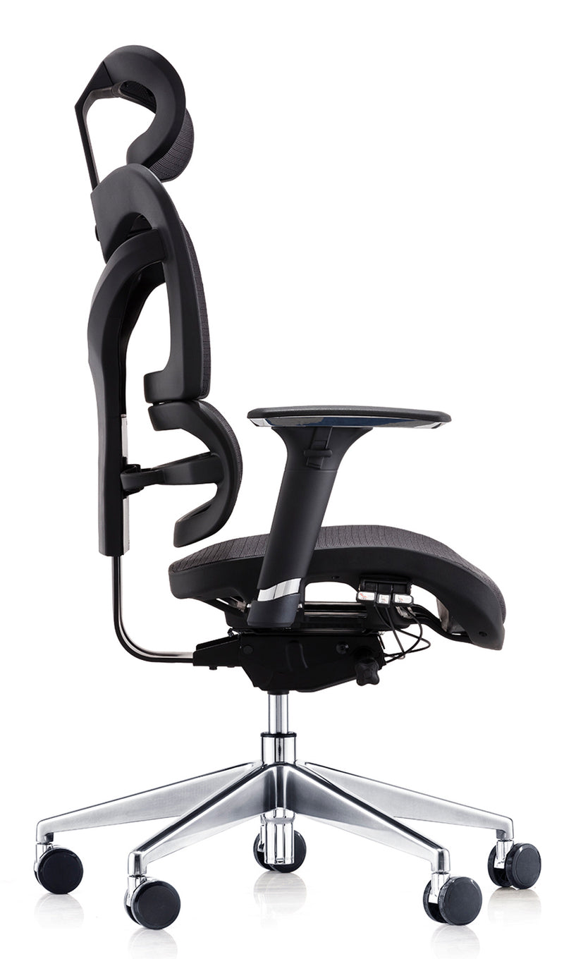 Dorsum Mesh Executive Office Chair - NWOF