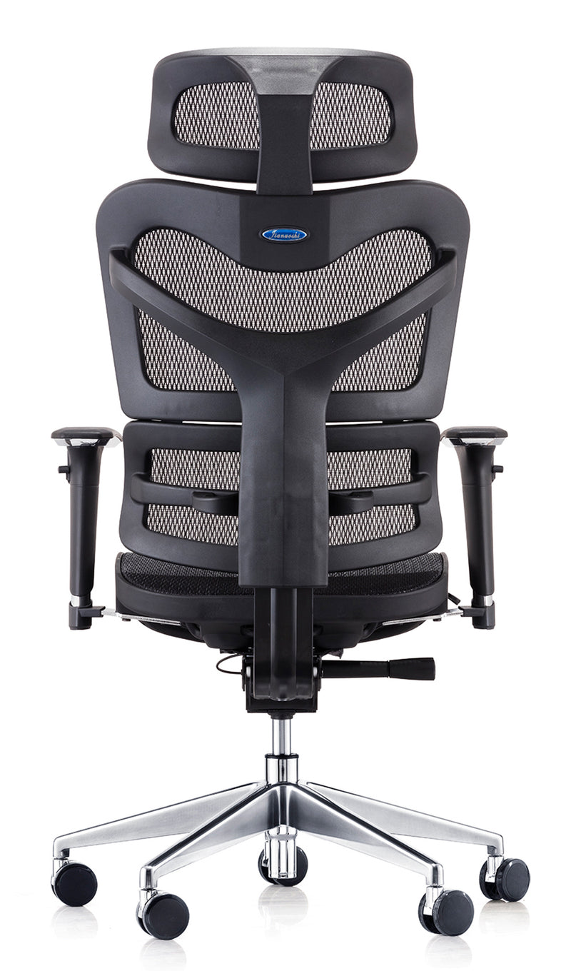 Dorsum Mesh Executive Office Chair - NWOF