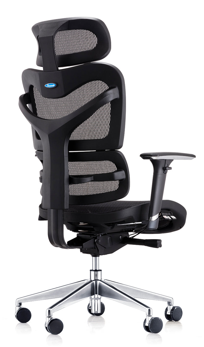 Dorsum Mesh Executive Office Chair - NWOF