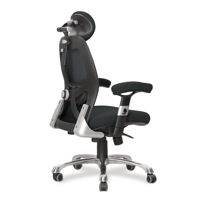 Ergo Ergonomic Luxury High Back Executive Mesh Chair - Black - NWOF