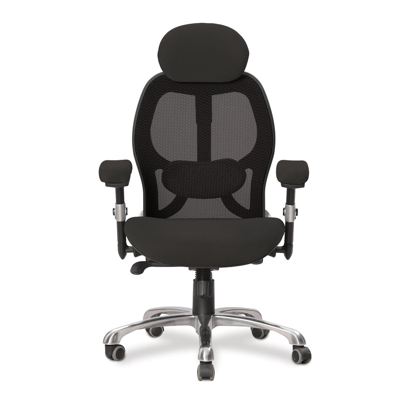 Ergo Ergonomic Luxury High Back Executive Mesh Chair - Black - NWOF