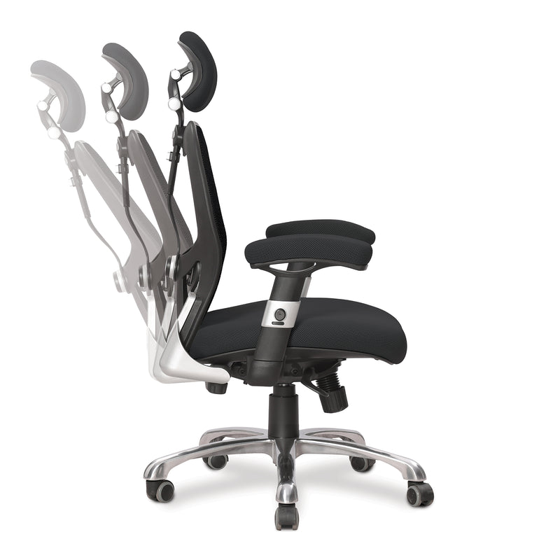 Ergo Ergonomic Luxury High Back Executive Mesh Chair - Black - NWOF