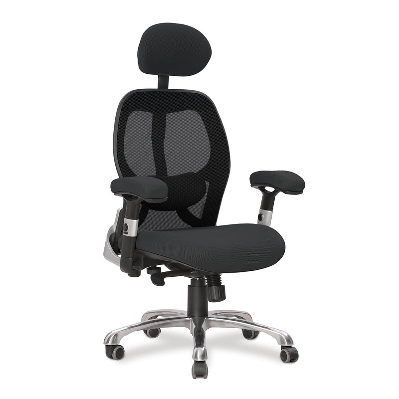 Ergo Ergonomic Luxury High Back Executive Mesh Chair - Black - NWOF