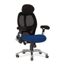Ergo Ergonomic Luxury High Back Executive Mesh Chair - Black/Blue - NWOF