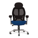 Ergo Ergonomic Luxury High Back Executive Mesh Chair - Black/Blue - NWOF