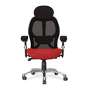 Ergo Ergonomic Luxury High Back Executive Mesh Chair - Black/Red - NWOF