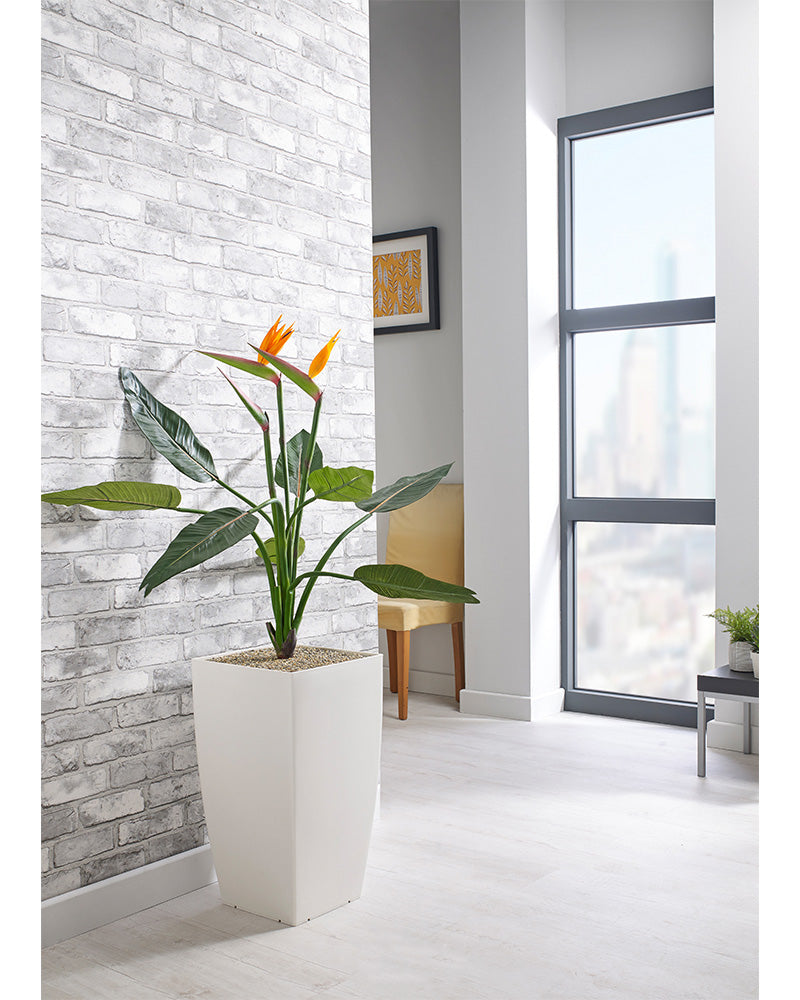 Bird of Paradise Floor Standing Plant - NWOF