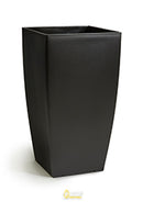 Bird of Paradise Floor Standing Plant - NWOF