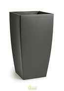 Paradise Palm Floor Standing Plant - NWOF