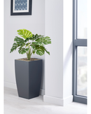 Monstera Bush Floor Standing Plant - NWOF