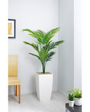Paradise Palm Floor Standing Plant - NWOF