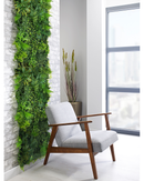 Fern Green Wall - NWOF