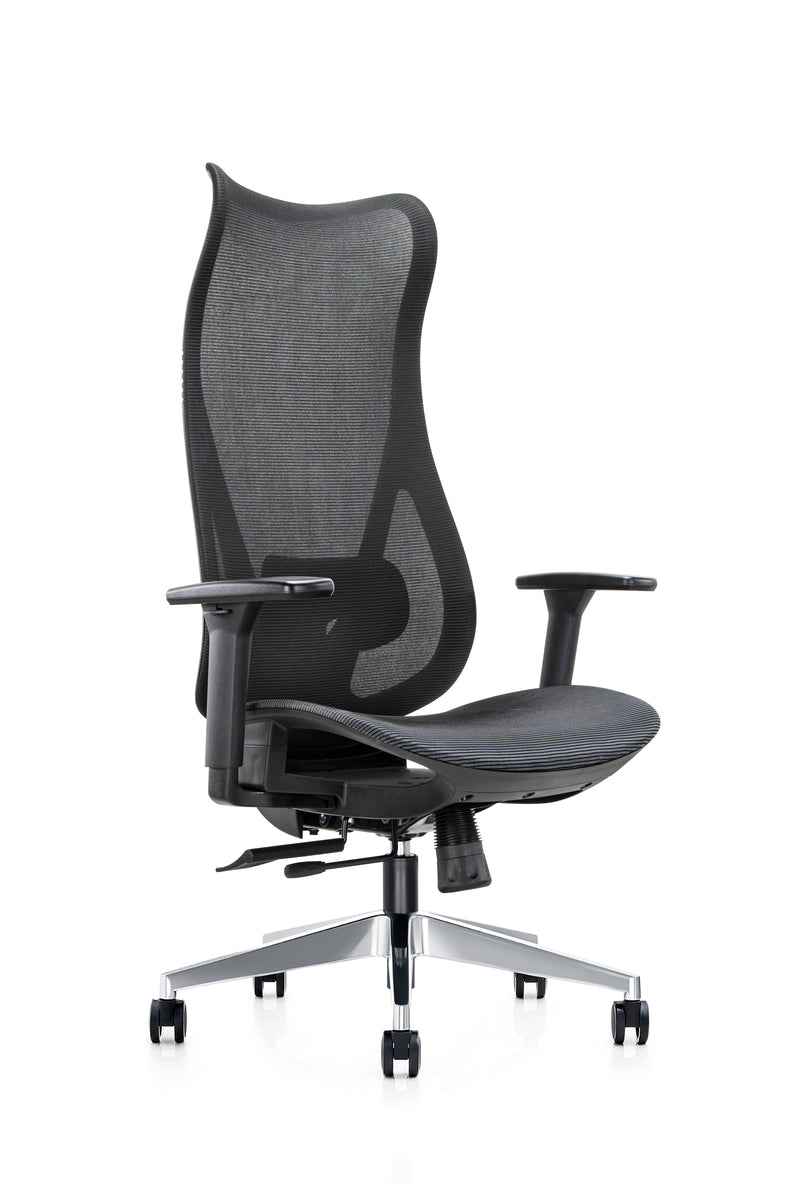 Mala Ultra High Back Mesh Ergonomic Office Chair - NWOF