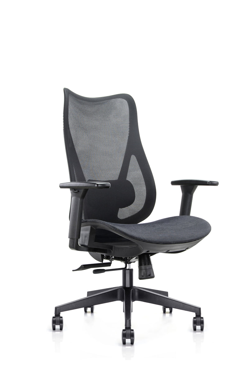 Mala High Back Mesh Ergonomic Office Chair - NWOF