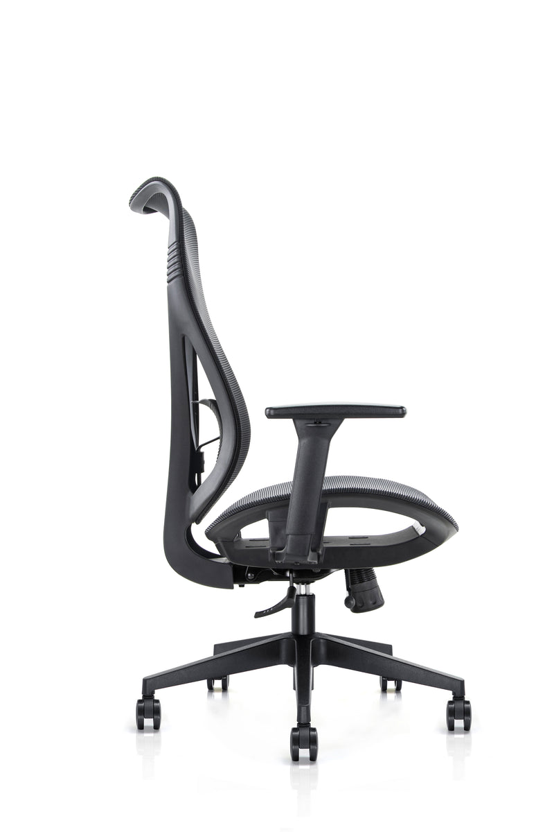 Mala High Back Mesh Ergonomic Office Chair - NWOF