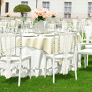 Napoleon Stacking Side Chair - NWOF