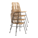 Palm Stacking Side Chair - NWOF