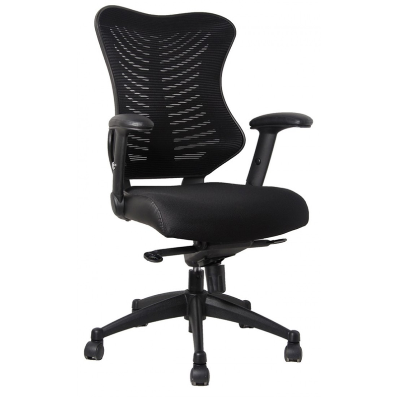 Spine Mesh Executive Office Chair - NWOF