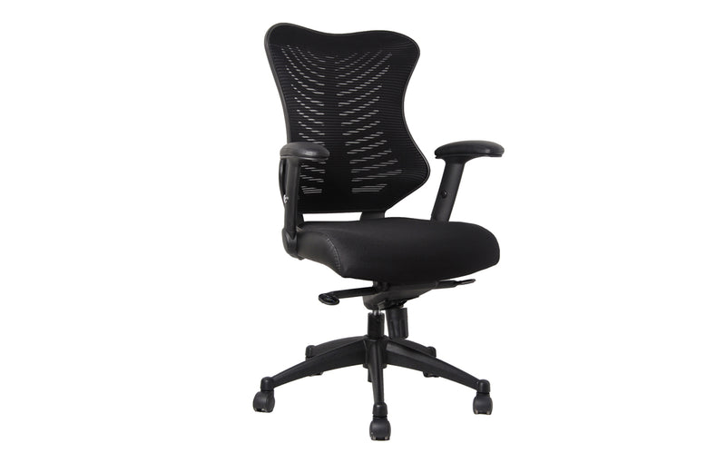 Spine Mesh Executive Office Chair - NWOF