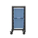 Titan Storage Unit With Large Trays - 2 Trays - NWOF