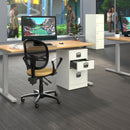 Black Bisley A4 home filing cabinet by Dams with multiple drawers, placed in a home office setting.