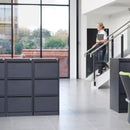 Grey Dams steel executive filing cabinet with two drawers, designed for office storage and organization.