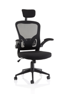 Dynamic Ace executive mesh chair with folding arms, black ergonomic office chair with breathable mesh back and adjustable features.