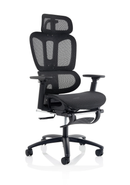 Dynamic Horizon Executive Mesh Chair with height adjustable arms, ergonomic office seating with breathable mesh back and cushioned seat.