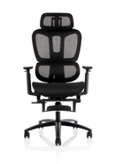 Dynamic Horizon Executive Mesh Chair with height adjustable arms, ergonomic office seating with breathable mesh back and seat.