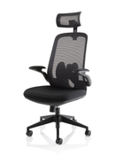 Dynamic Sigma Executive Mesh Chair with folding arms, black ergonomic office chair with adjustable height and lumbar support.