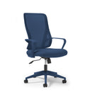 Eva Mesh Back Task Chair - Blue - NWOF