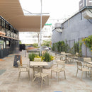 Paris Armchair - NWOF