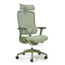 Kara High Back Executive Mesh Task Chair - Green - NWOF