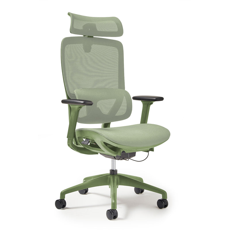 Kara High Back Executive Mesh Task Chair - Green