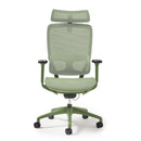 Kara High Back Executive Mesh Task Chair - Green - NWOF