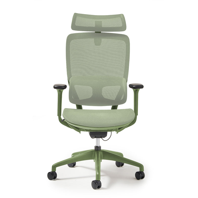 Kara High Back Executive Mesh Task Chair - Green