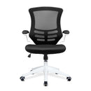 Nautilus Designs Luna medium back mesh office chair with white shell and folding arms, front view.